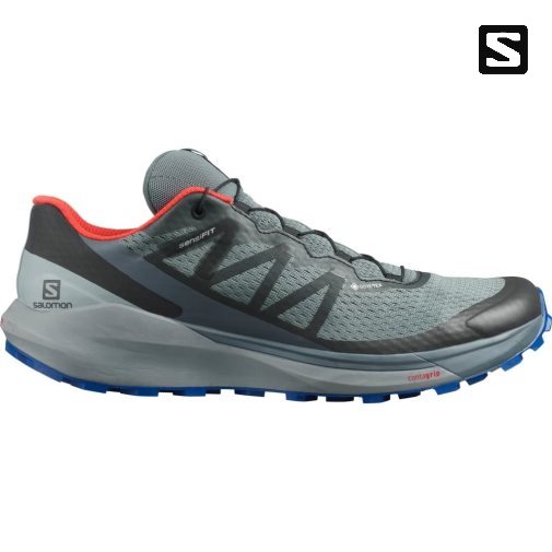 Grey Salomon Sense Ride 4 GTX Invisible Fit Men's Trail Running Shoes | IE LB5724